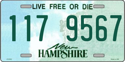 NH license plate 1179567
