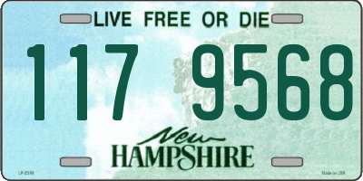 NH license plate 1179568
