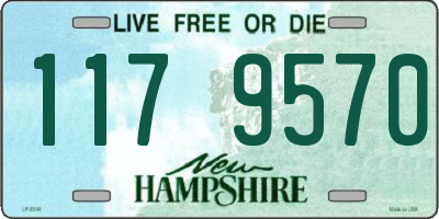 NH license plate 1179570