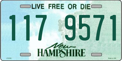 NH license plate 1179571