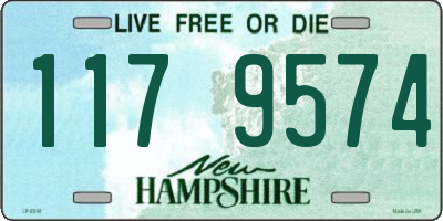 NH license plate 1179574