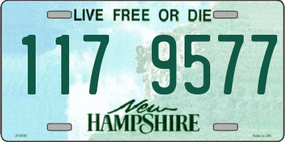 NH license plate 1179577