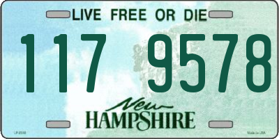 NH license plate 1179578