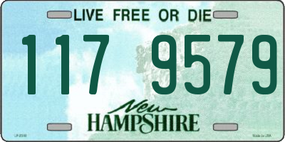 NH license plate 1179579