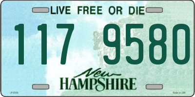 NH license plate 1179580