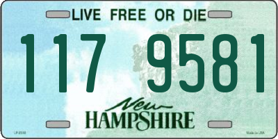 NH license plate 1179581