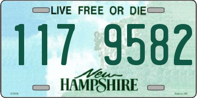 NH license plate 1179582