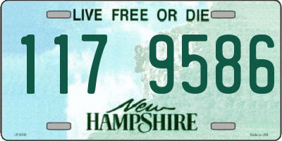 NH license plate 1179586
