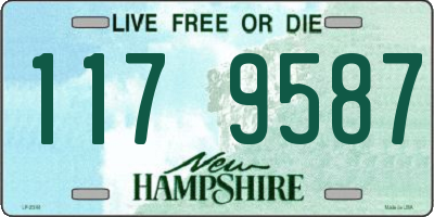 NH license plate 1179587