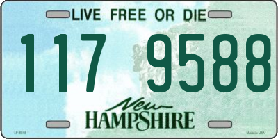 NH license plate 1179588