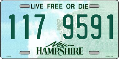 NH license plate 1179591