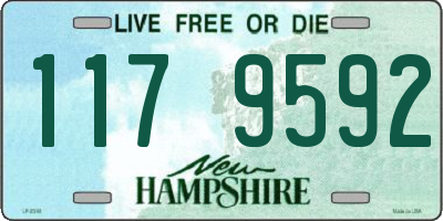 NH license plate 1179592