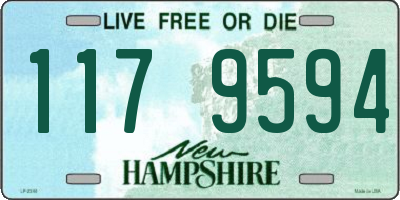 NH license plate 1179594