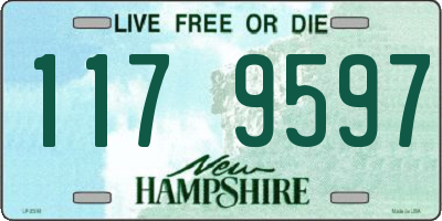 NH license plate 1179597