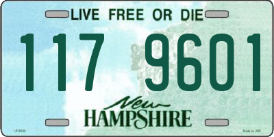 NH license plate 1179601