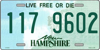 NH license plate 1179602