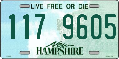 NH license plate 1179605