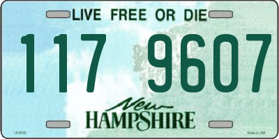 NH license plate 1179607