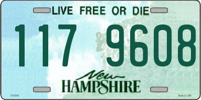 NH license plate 1179608