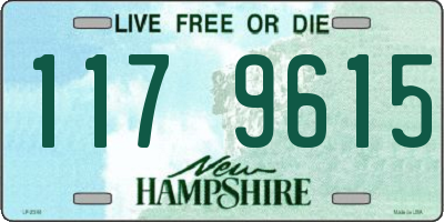 NH license plate 1179615