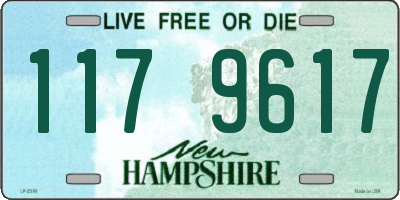 NH license plate 1179617