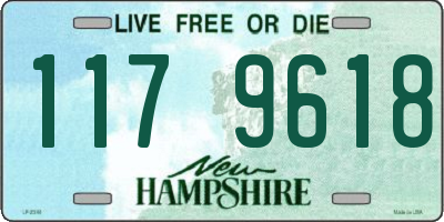 NH license plate 1179618