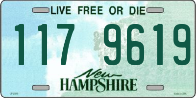 NH license plate 1179619
