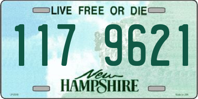 NH license plate 1179621