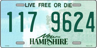 NH license plate 1179624