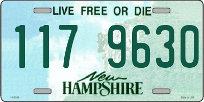 NH license plate 1179630