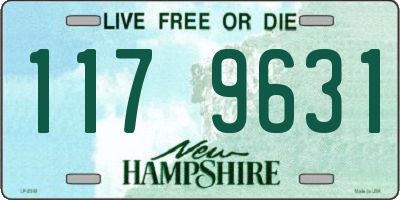 NH license plate 1179631