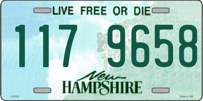 NH license plate 1179658