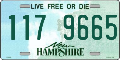 NH license plate 1179665