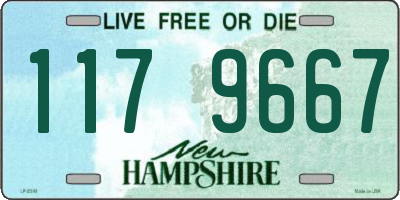NH license plate 1179667