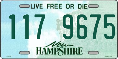 NH license plate 1179675
