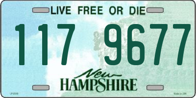 NH license plate 1179677