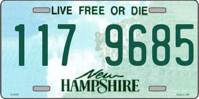 NH license plate 1179685