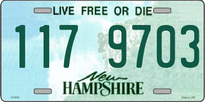 NH license plate 1179703