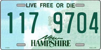 NH license plate 1179704