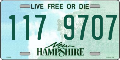 NH license plate 1179707