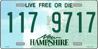 NH license plate 1179717
