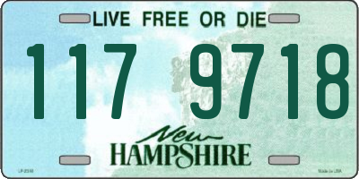 NH license plate 1179718