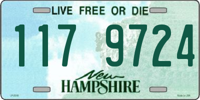 NH license plate 1179724
