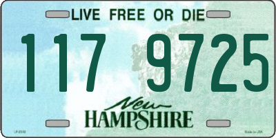 NH license plate 1179725