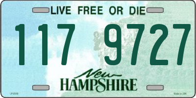 NH license plate 1179727