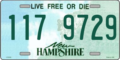 NH license plate 1179729