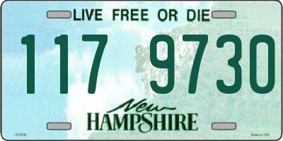 NH license plate 1179730