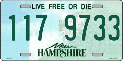 NH license plate 1179733