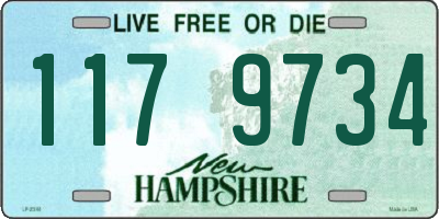 NH license plate 1179734