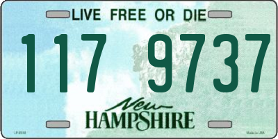 NH license plate 1179737